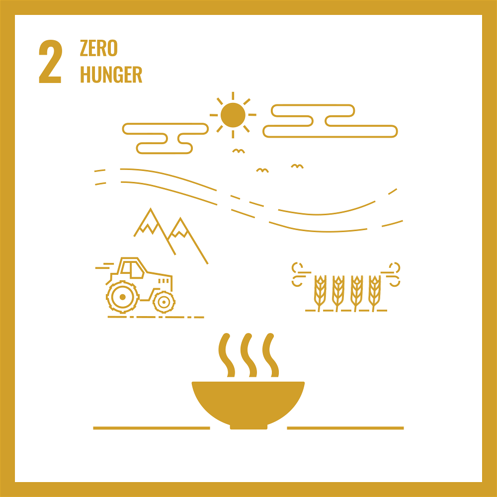 Zero Hunger icon large